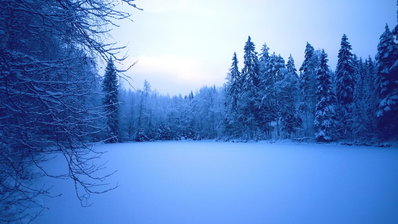 Sininen hetki Mustalahdella