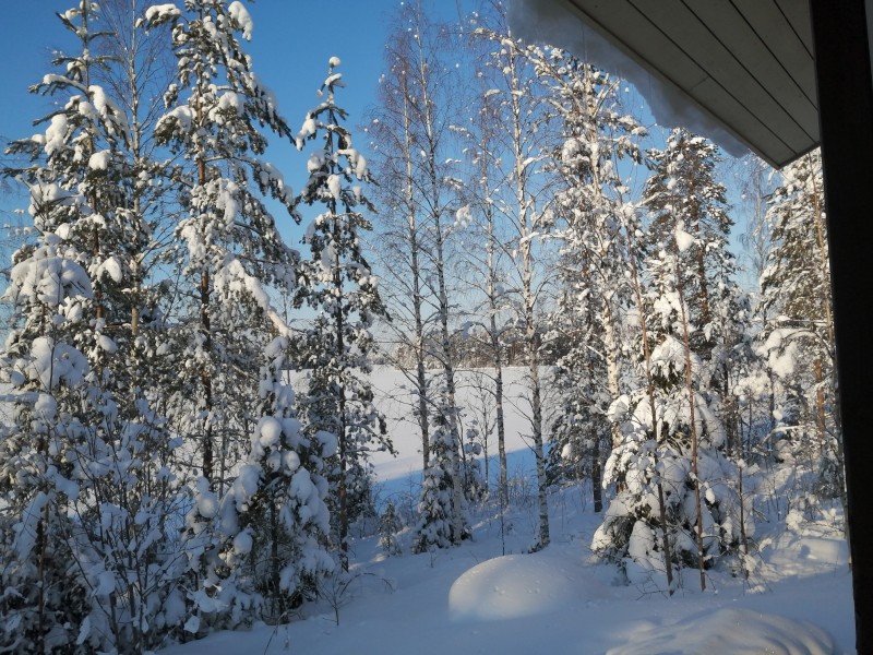 Kärkiniemi