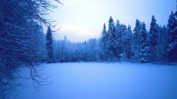 Sininen hetki Mustalahdella