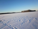 Kärkiniemi