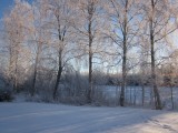 Joutsenranta